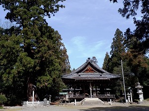 s-20210319_dairoshrine (1).jpg